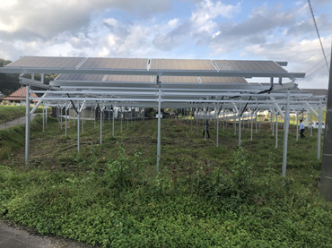 Kinsend solar farm mounting system provides a comfortable home for your green agriculture